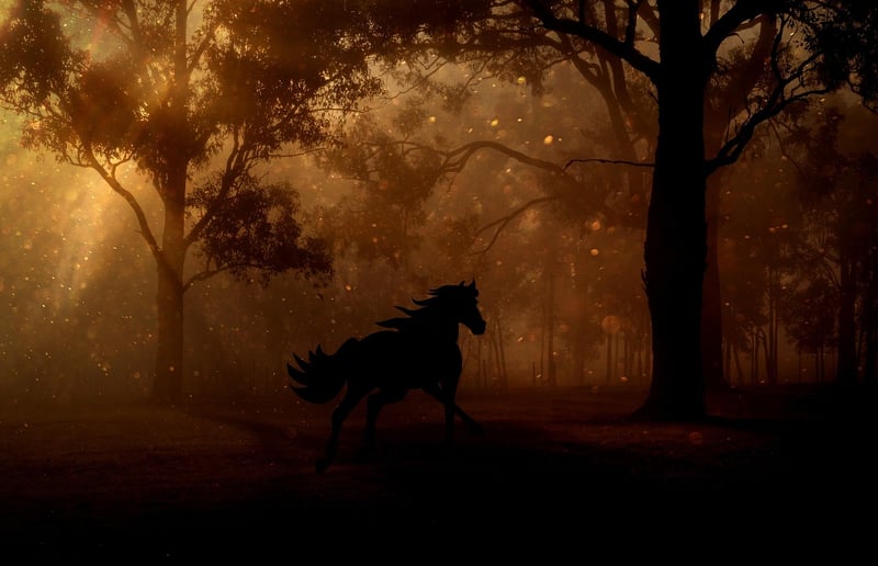 Fairy Tale Image