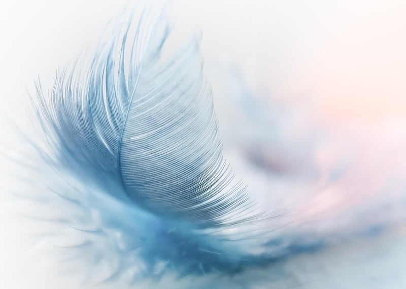 Feather with magical glow